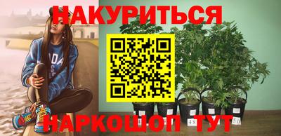 СК Ярославль