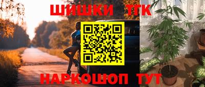 СК Ярославль