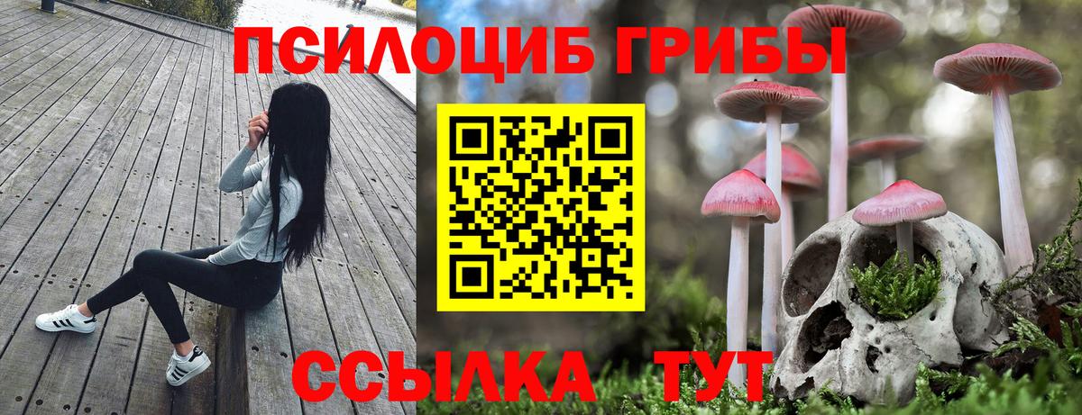 Галлюциногенные грибы Psilocybine cubensis  Вход с VPN  Гагарин  Псилоцибиновые грибы мицелий 