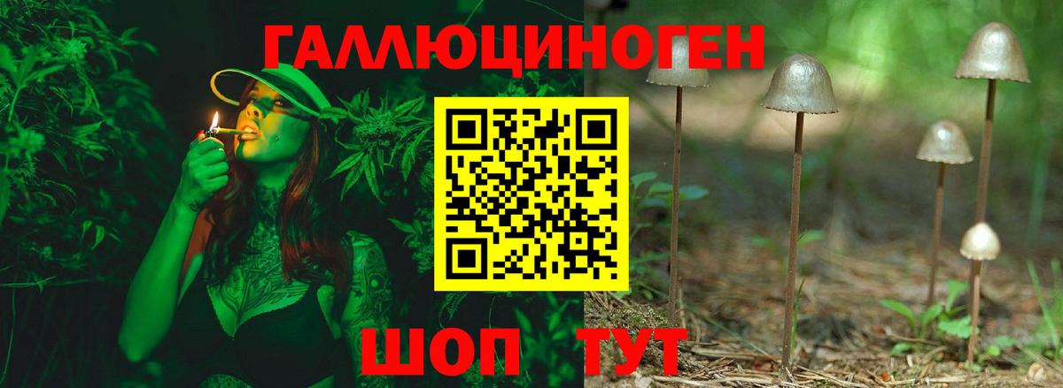 Псилоцибиновые грибы прущие грибы Гагарин